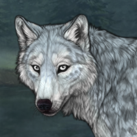 Tundra Headshot