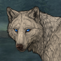 Grayhound Headshot