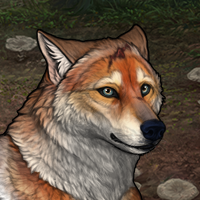 Wolf Headshot