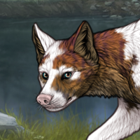 ***Piebald Headshot