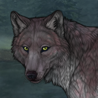 Snakerunner Headshot