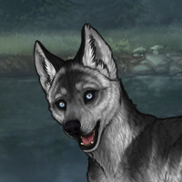 Striped Flint Husky Headshot