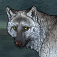 Wolf Headshot