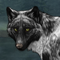 Wolf Headshot