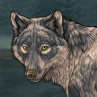 Wolf Headshot