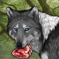 Wolf Headshot