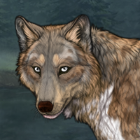 Gloria Headshot
