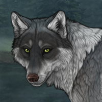 Wolf Headshot