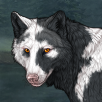 Marengo Piebald Headshot