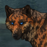 Wulfenite G2 x5Merle Headshot