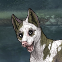 Piebald: Torn Headshot