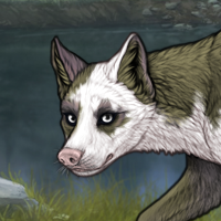 Piebald: Torn Headshot