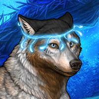 Wolf Headshot