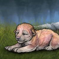 New Puppy Headshot