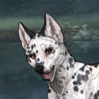 G5 Dalmatian Headshot