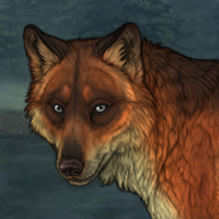 Fox'Trot Headshot