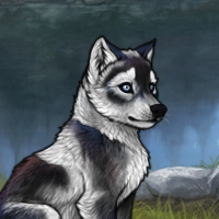 HuskyMoonlight G2 Headshot