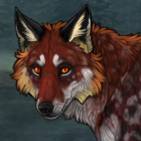 Foxy Headshot