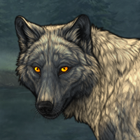 Wolf Headshot