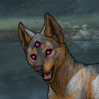 Night Eyes Headshot