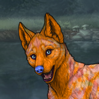 Orangepup Headshot