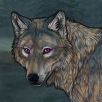 Coyote 🌑 Headshot