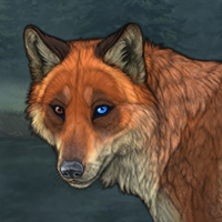 G2F HetBr/Bl Fox Breeder Headshot