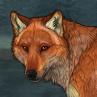 472 Female Fox Headshot