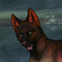 Chert Puppy - 2M Headshot