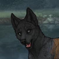 Enclave Pup Headshot