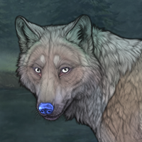 Sleetfeet Headshot