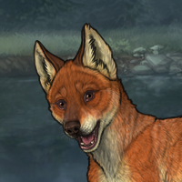 Sale Fox Headshot