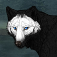 Wolf Headshot