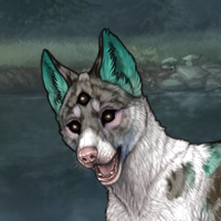 Spdagi piebald Headshot