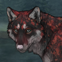 Wolf Headshot