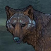 WaterBark Headshot