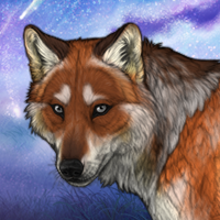 Vulpes Headshot