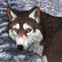 Rokua Headshot