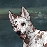 615 dalmatian Headshot