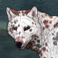 615 dalmatian Headshot