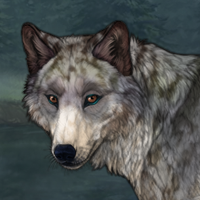 Forest'Bark Headshot