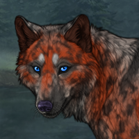 Maplespots Headshot