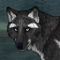 Wolf Headshot