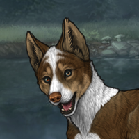 Dogheart Headshot