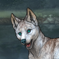 Puppy glac /bio te eyes Headshot