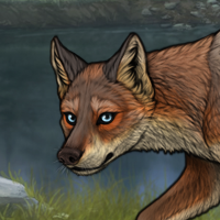 R&C Fox Headshot