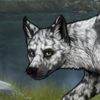 RC white lupos/merle-WIP Headshot