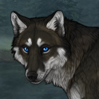 Boris Headshot