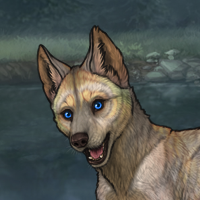 Enclave PuppyB Headshot