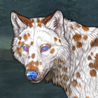 TawnySpots Headshot